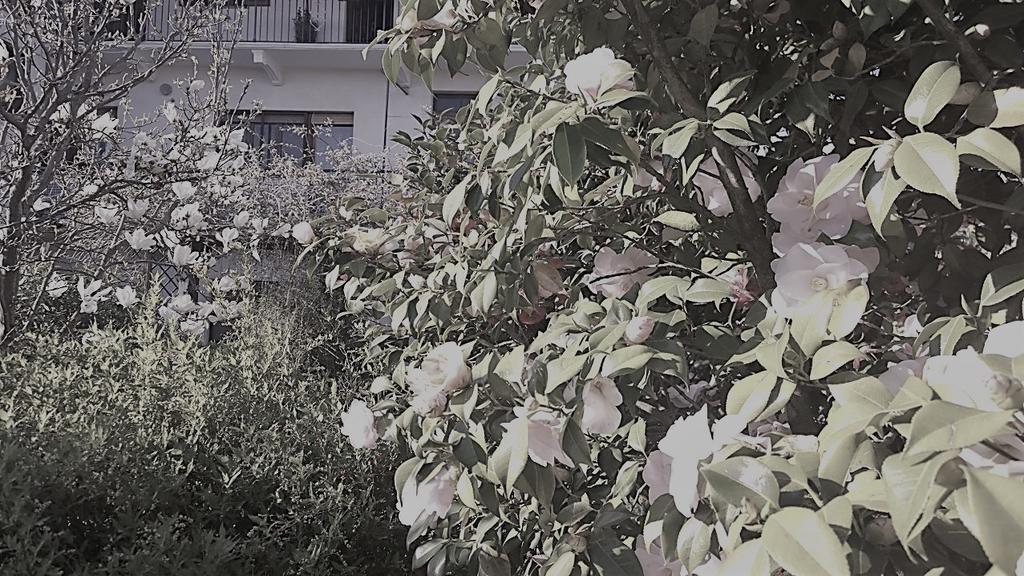 B&B Casa Passito Pavone Canavese Bagian luar foto